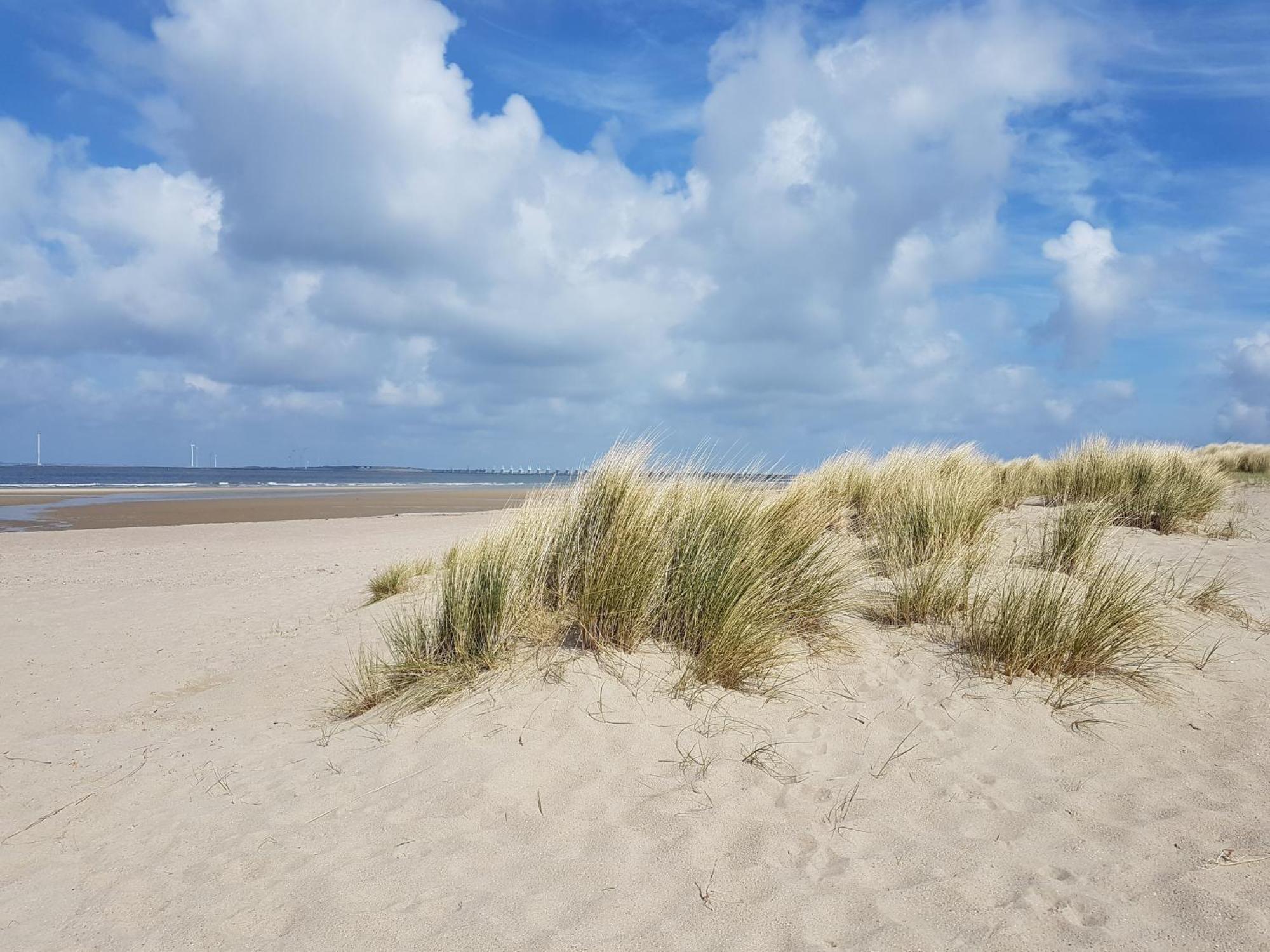 Olmenduin Chalet Veere Zeeland Serooskerke  Esterno foto